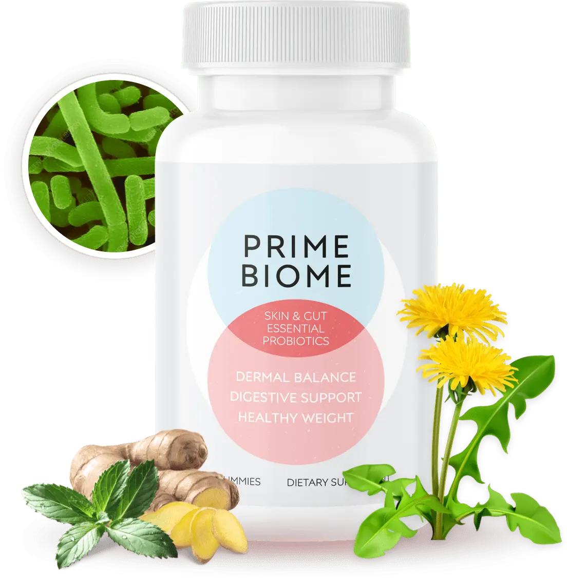 PrimeBiome official website